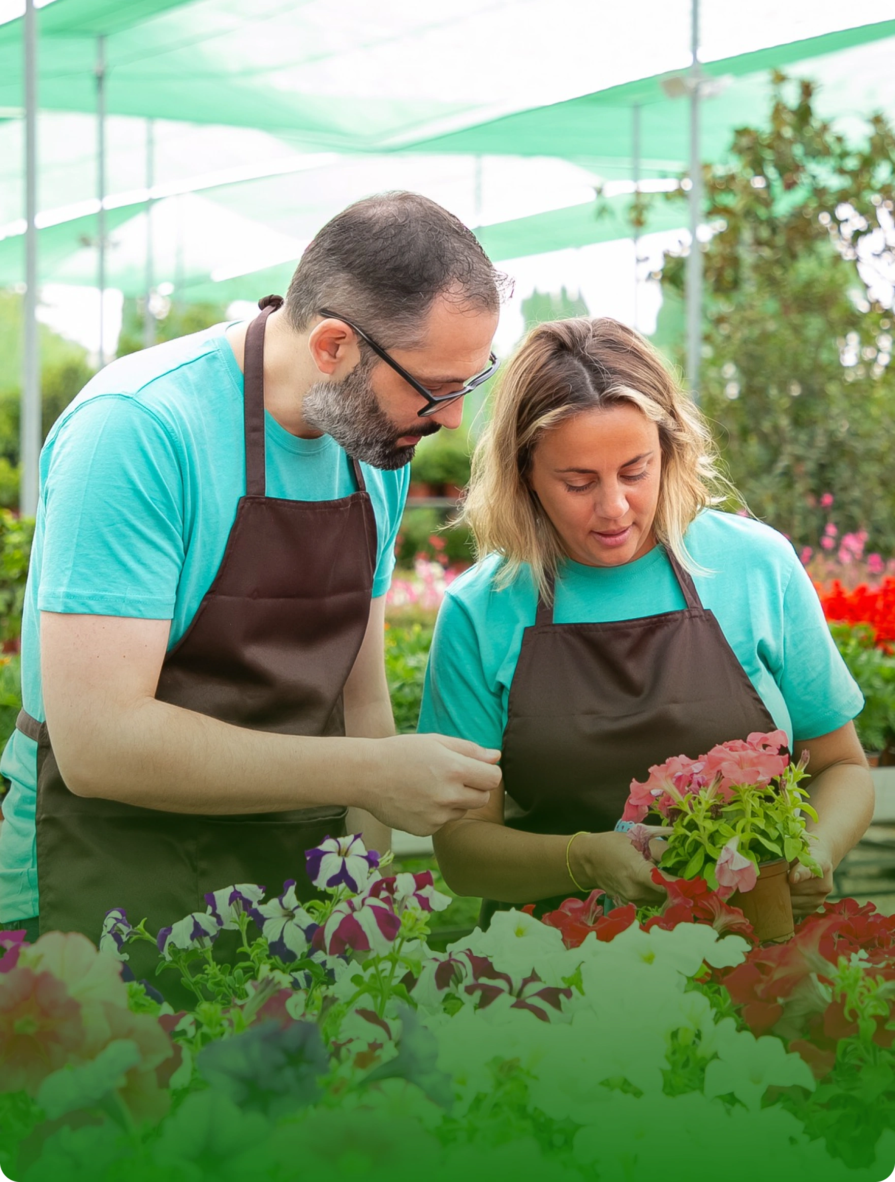 Nursery staff helping customers